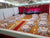 The Reception Collection