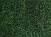 Grass Wall Rental 7x7