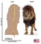 Lion 52" x 26" cutout