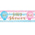 Gender Reveal Bllns Giant Banner