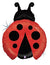 27" Little Ladybug Shape